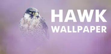 Hawk Wallpaper
