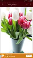 Tulip Wallpaper ภาพหน้าจอ 2