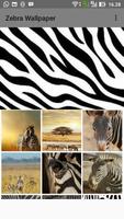 Zebra Wallpaper ポスター