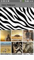 Zebra Wallpaper Affiche