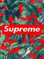 Supreme X الملصق