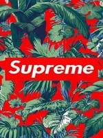 Supreme X plakat