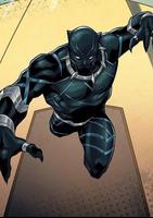 New Black Panther Wallpapers screenshot 1