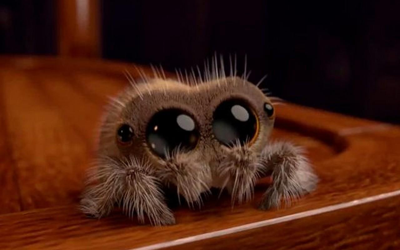Lucas The Spider Wallpaper for Android - APK Download