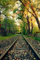 Best Nature Wallpaper HD For Mobile ภาพหน้าจอ 1