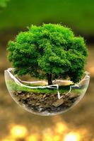Best Nature Wallpaper HD For Mobile ภาพหน้าจอ 2