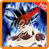 Ultra Instinct Goku Wallpapers HD icône