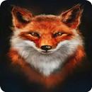 Fox Wallpapers aplikacja