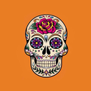 Sugar Skull Art HD Wallpapers APK