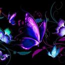 Glitter Butterfly Wallpaper APK
