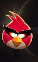Angry Birds Classic For WallpaperHD capture d'écran 2