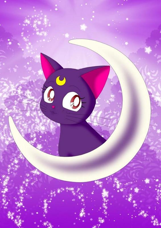 Cute Kawaii Cat Wallpaper - Cat's Blog