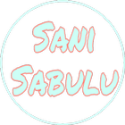 Sani Sabulu-icoon