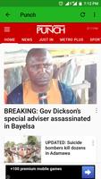 Naija Newspapers screenshot 1