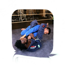 Jiu Jitsu Guide APK