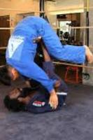Jiu Jitsu screenshot 1