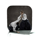 Aikido Lessons APK