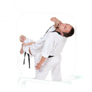 Tae Kwon Do Guide APK