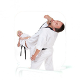 Tae Kwon Do Guide biểu tượng