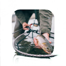Fishing for Beginners APK