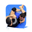 Ankle Locks Guide