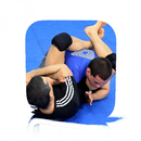 Ankle Locks Guide APK