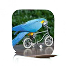 Parrot Tricks APK