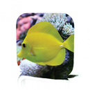 Aquarium Care APK