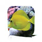Aquarium Care icon