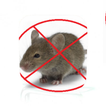 ”Rat Control Guide