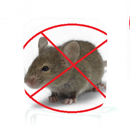 Rat Control Guide APK