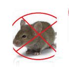 Rat Control icon