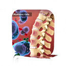 Myeloma Cancer Guide APK