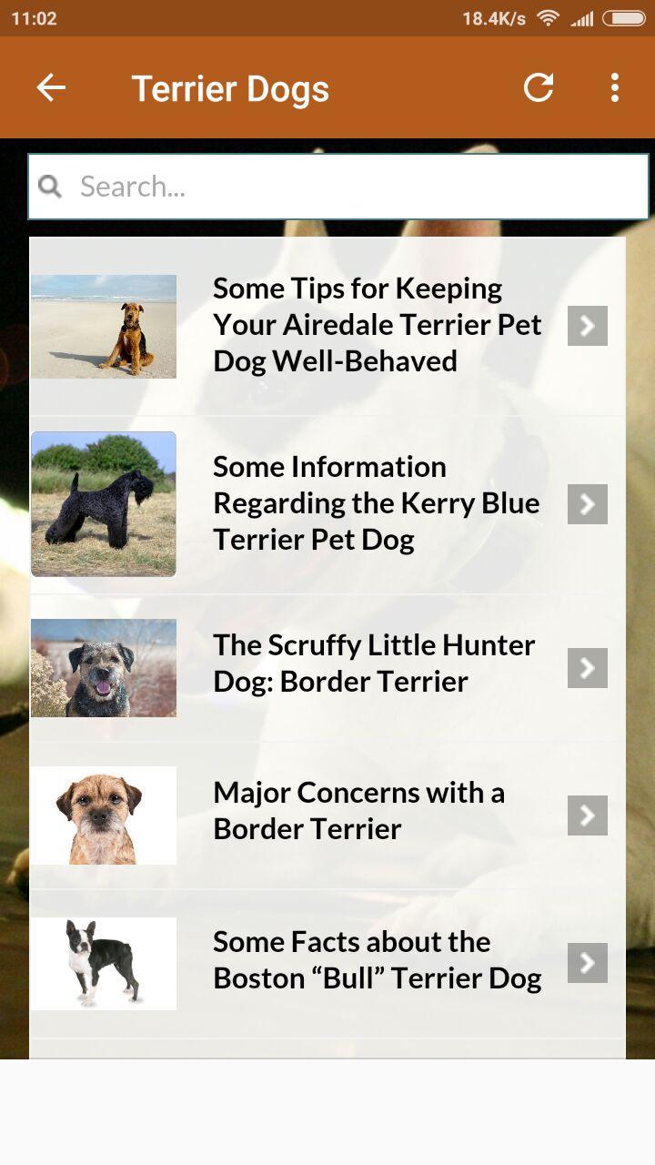 Terrier Dogs 101 For Android Apk Terrier Dogs 101 For Android Apk