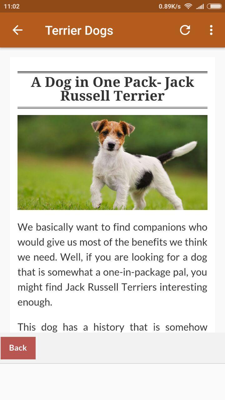 Terrier Dogs 101 For Android Apk Terrier Dogs 101 For Android Apk