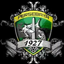 lagu persebaya (emosi jiwaku) APK