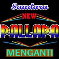 New pallapa dangdut 2018 screenshot 2