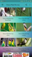 Suara Pikat Burung | Mp3 स्क्रीनशॉट 3
