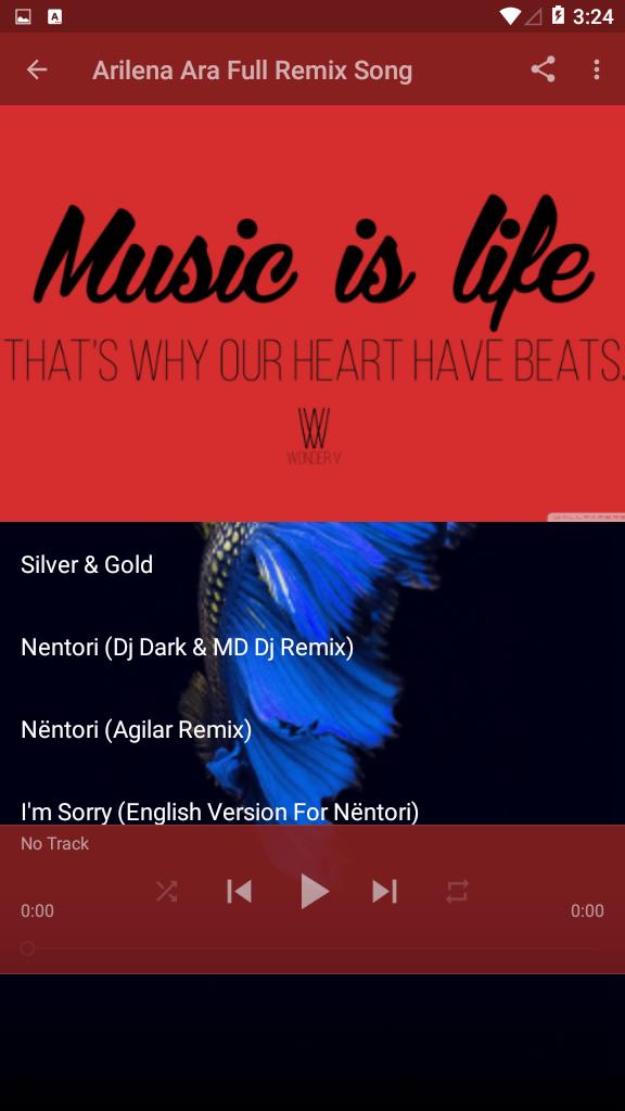 Best Arilena Ara Full Remix Song - Silver & Golg for Android - APK Download