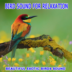 Bird Sounds For Relaxation ícone