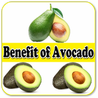 Uses Of Avocado icon