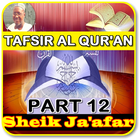 Sheik jafar tafsir 12 mp3 icône