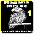 Magana jari ce Na daya 1 ícone