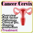 Cancer Cervix Fact 图标