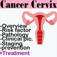 Cancer Cervix Fact 海报