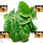 NEW HEALTHY SPINACH RECIPES icône