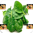 NEW HEALTHY SPINACH RECIPES icon