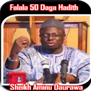 Daurawa Falala 50 Daga Hadith APK