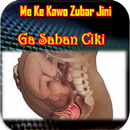 Zubar Jini Ga Mai Sabon Ciki APK
