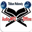 Tibbun Nabawiy APK